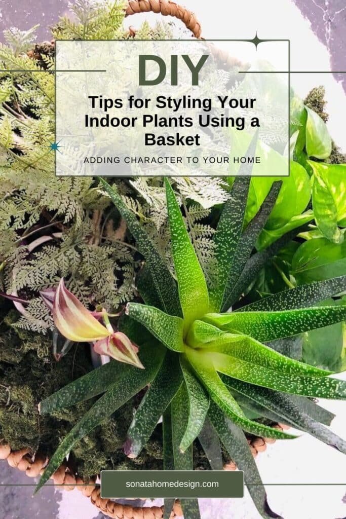 DIY Tips for Styling Your Indoor Plants Using a Basket