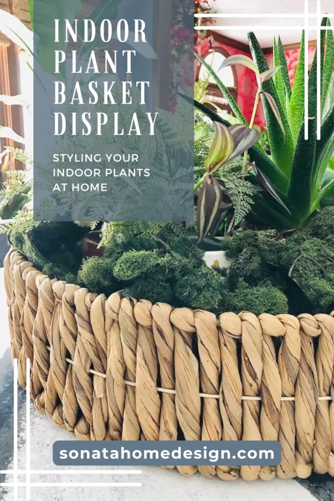 Indoor Plant Basket Display