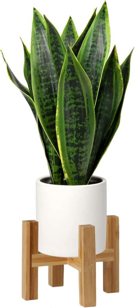 Faux snake plant in a white decorative pot.