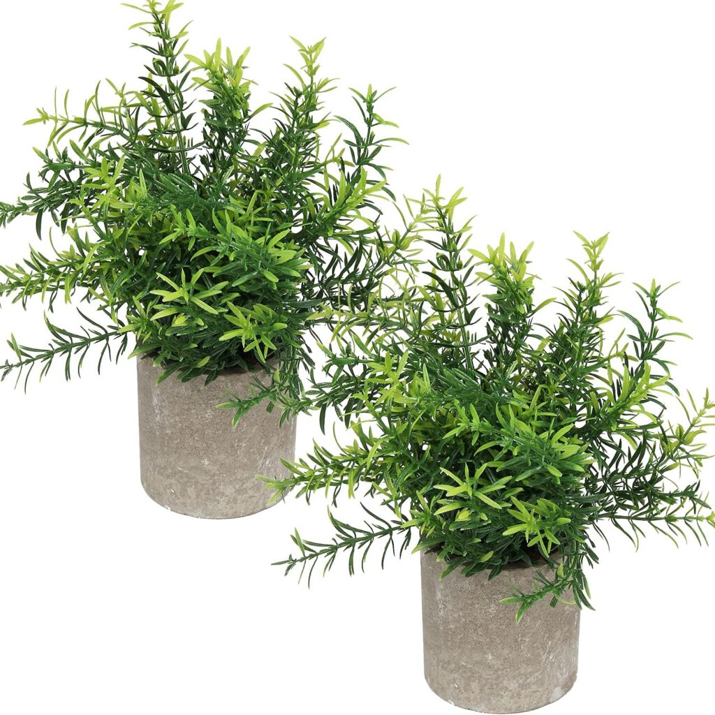 Faux potted rosemary plants