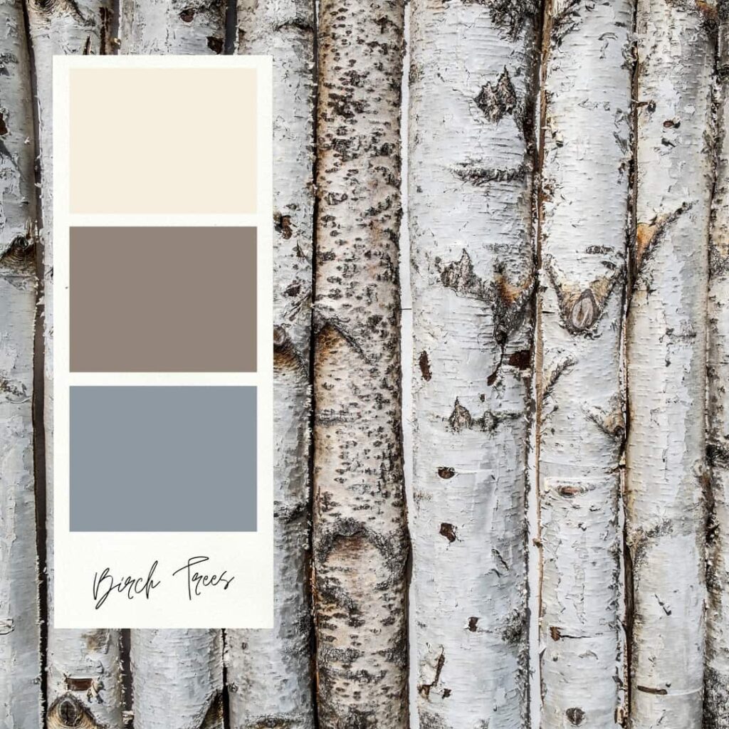 A decorating bookshelves for fall color palette with cream and grey colors.