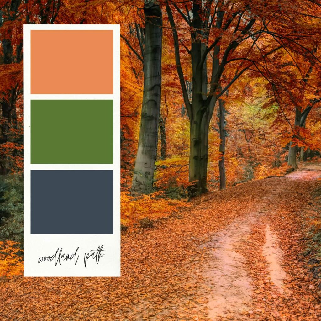 A color palette for decorating bookshelves for fall with colors of tangerine, green, and charcoal grey.