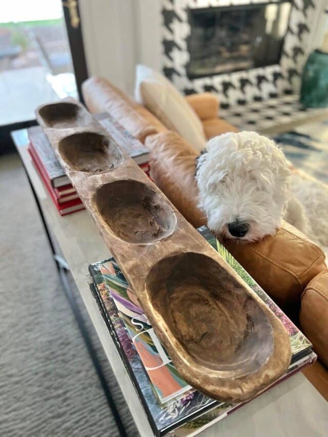 An empty dough bowl with a white dog looking on.