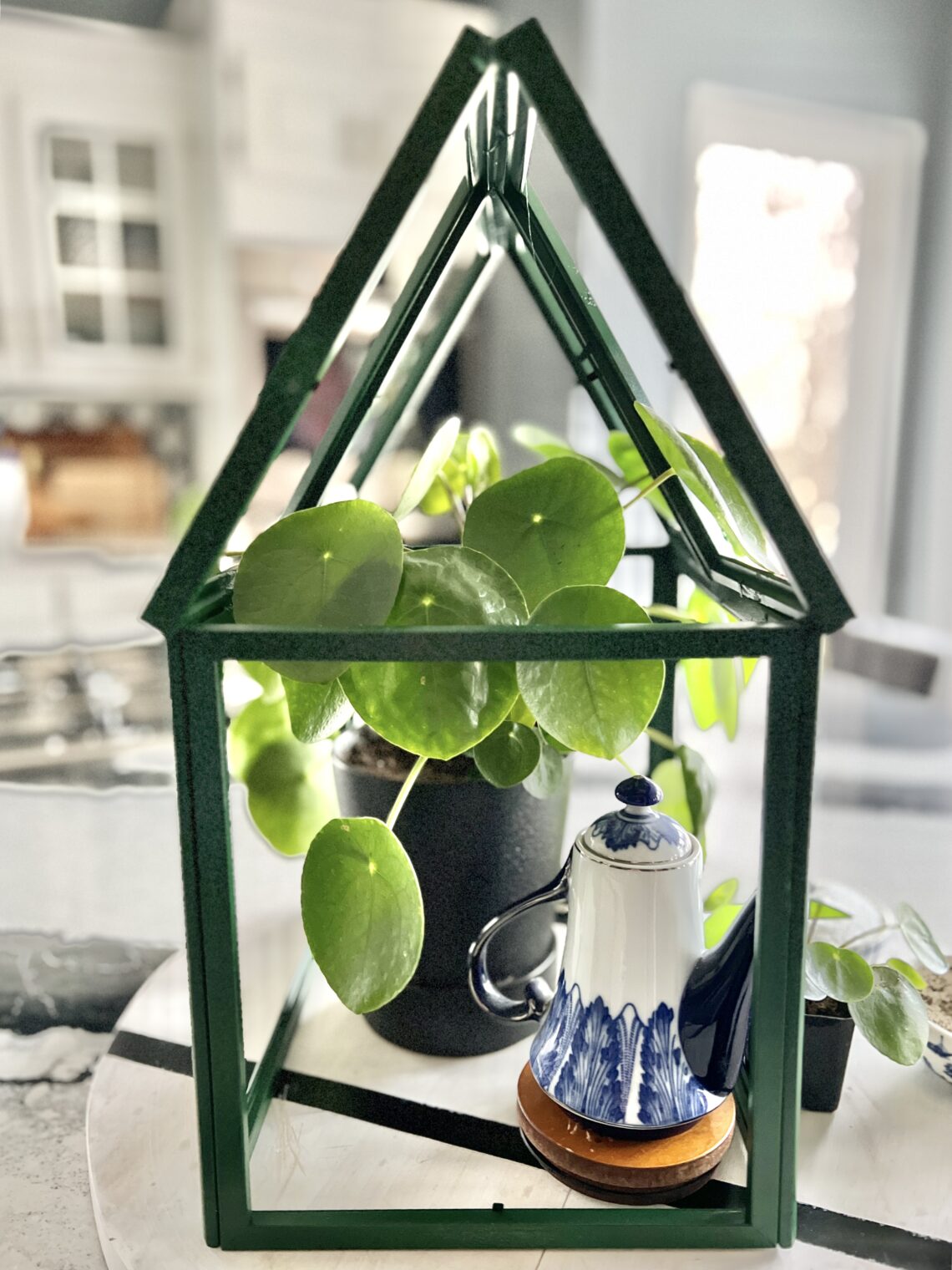 How to Make a Mini Tabletop Greenhouse