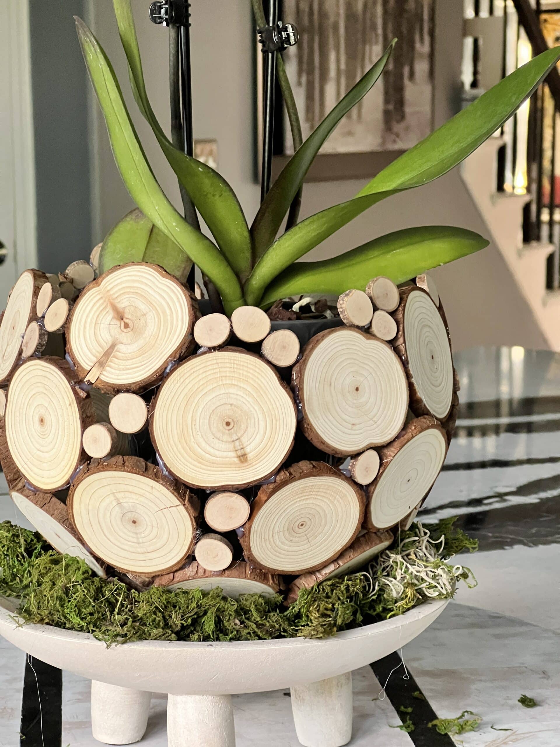 27 Totally Unique Planters That Will Give Any Indoor Plant A Pop Of  Personality