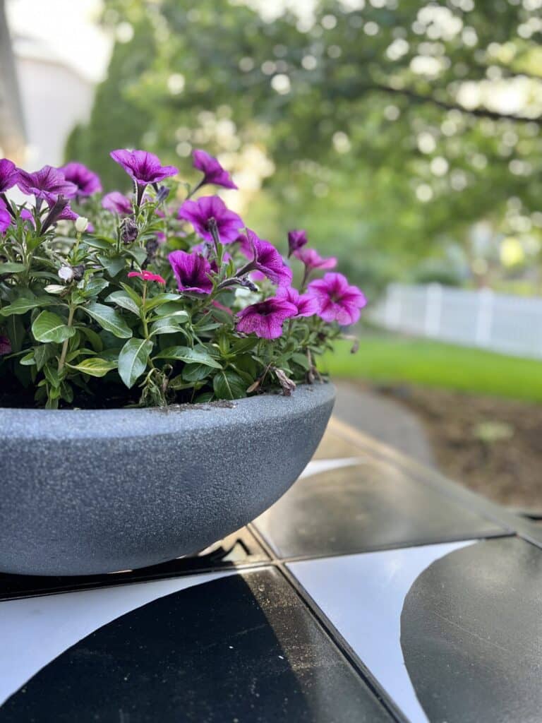 Petunias-and-Vinca-in-a-pot-on-a-patio-table-Sonata-Home-Design-scaled