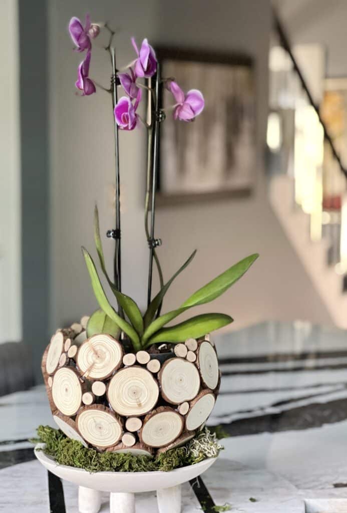 Mini Pink Orchid Planter in White Ceramic Pot – Just Add Ice®