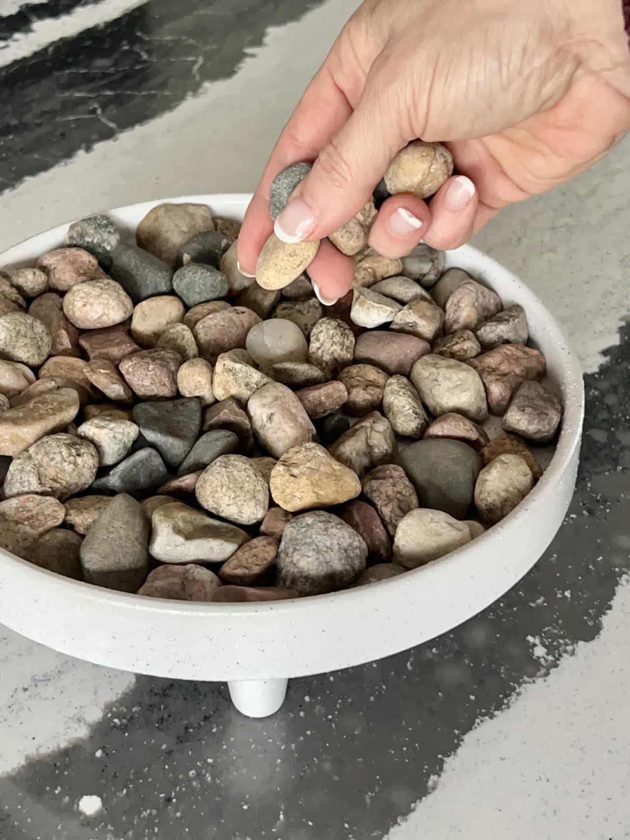 How to Make a Pebble Tray for Plants: A Humidity Hack - Sonata Home Design