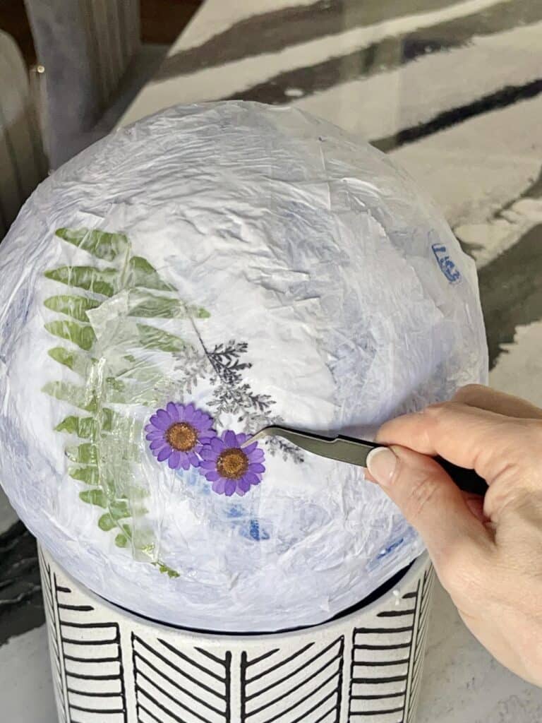 Applying purple pressed flowers to tissue paper covered balloon with tweezers.