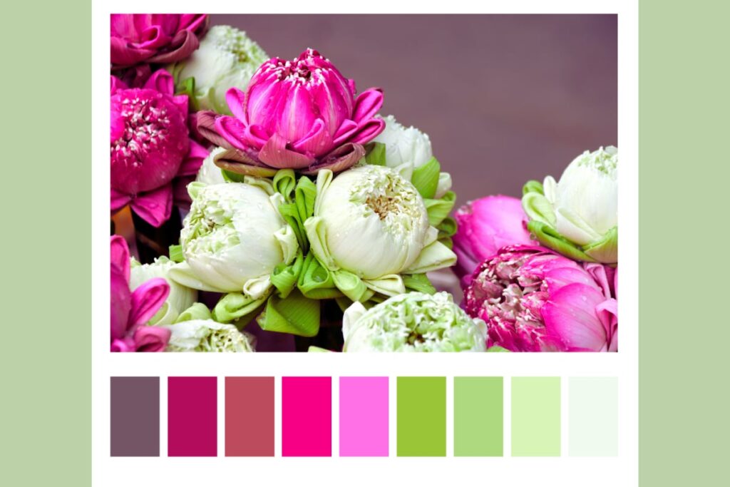 pink and white flower with color palette.