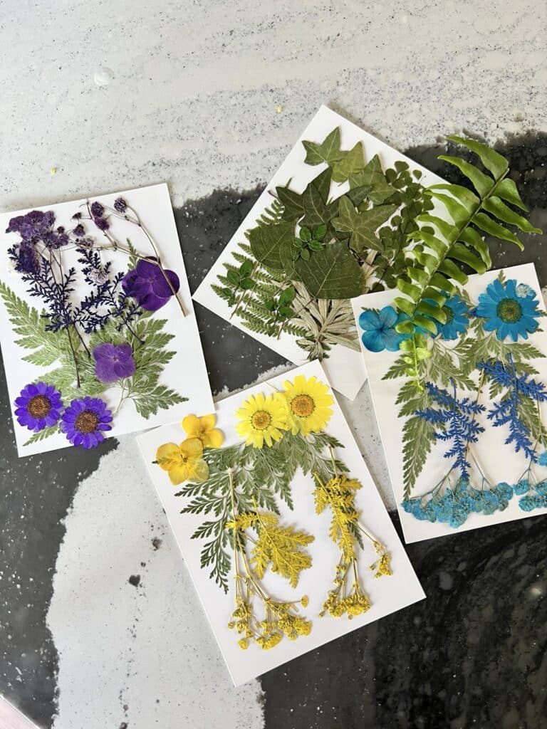 Dried pressed flowers in blue, yellow, and purple colors.