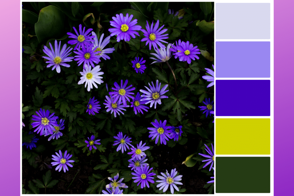 purple and green color palette