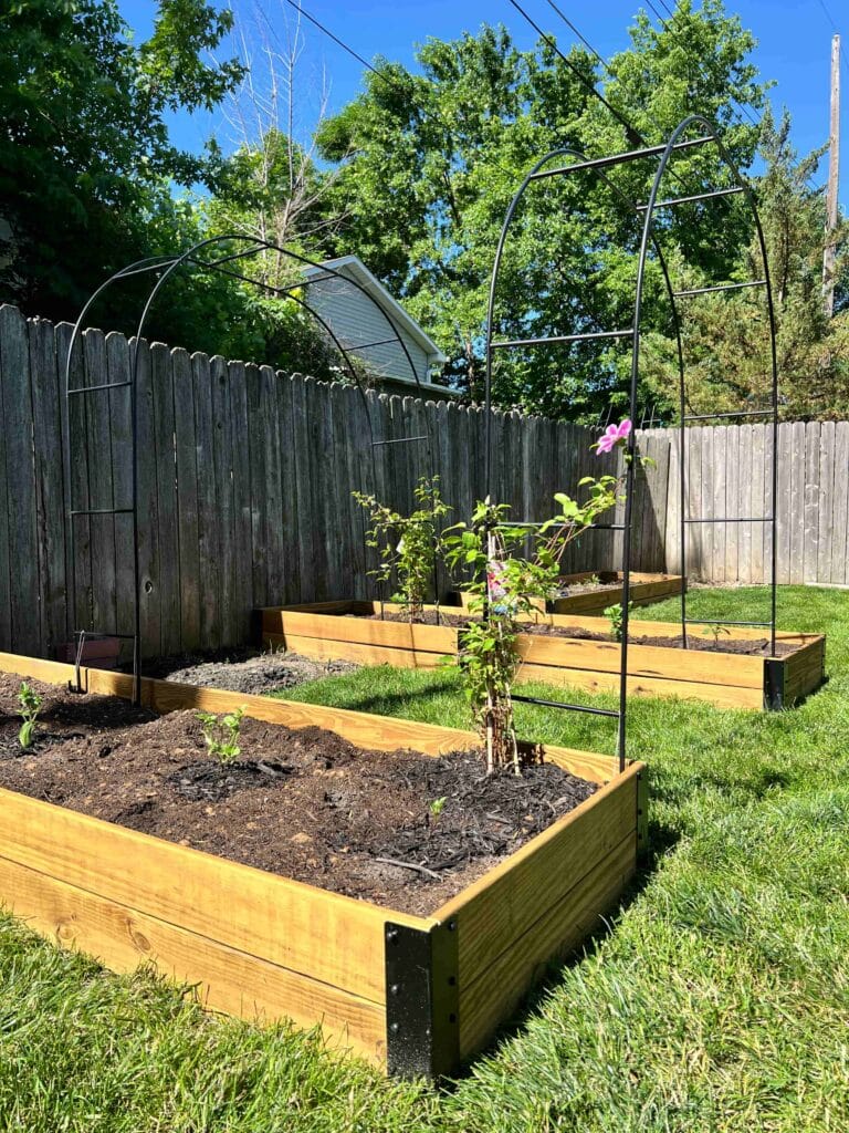 A side view of the Toja Grid raised garden beds.