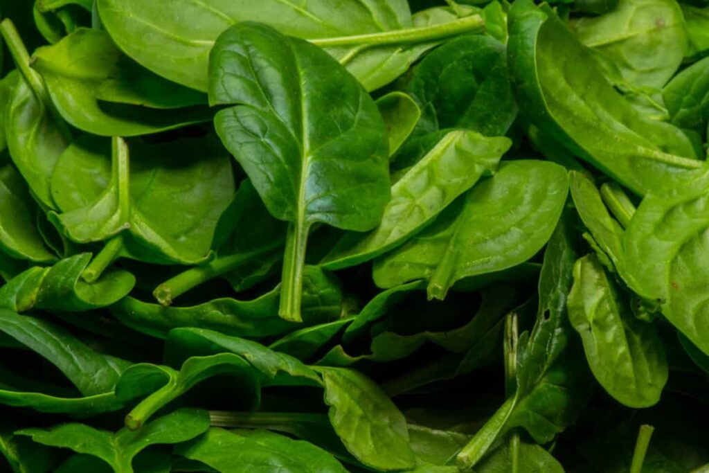 Green spinach.