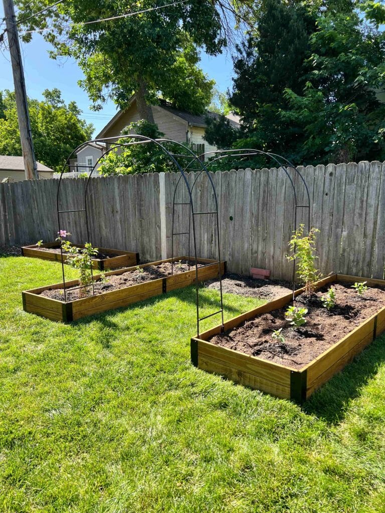Two raised garden beds connected with two curving arbors.