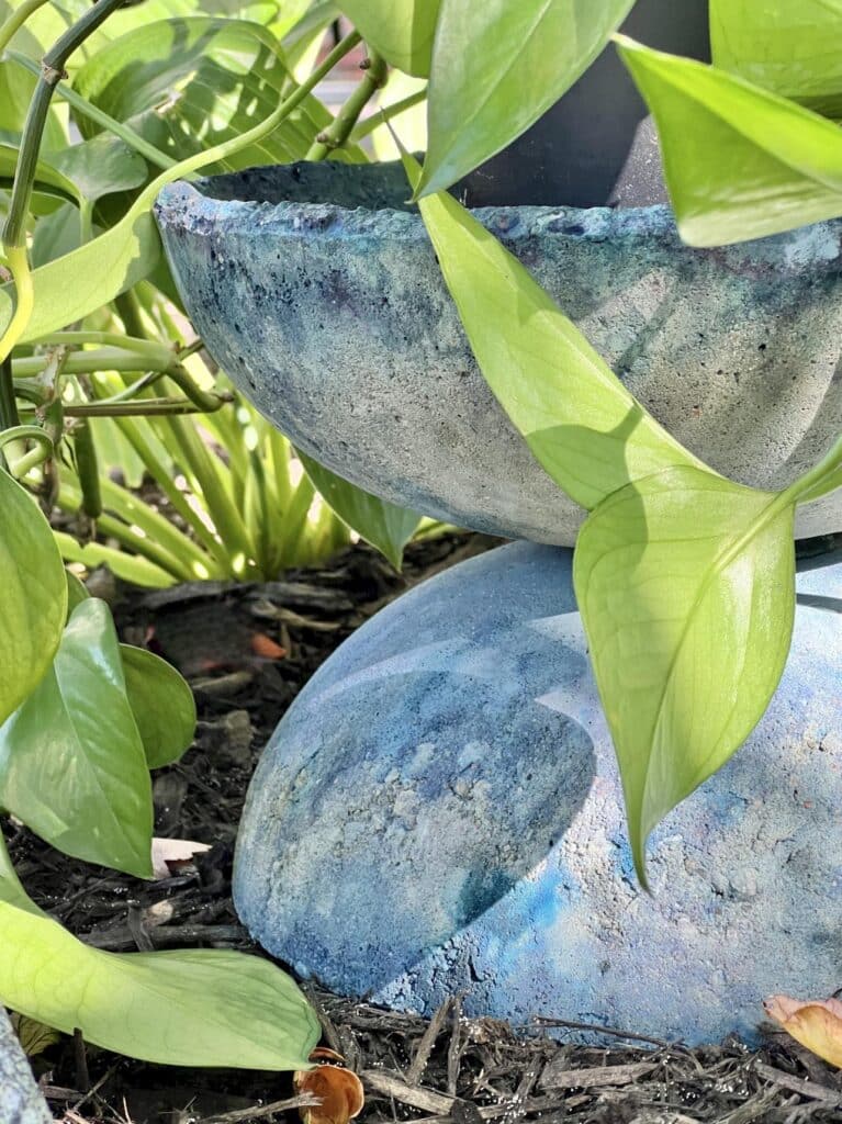 DIY Concrete Cement Planter Bowl with green plant inside.