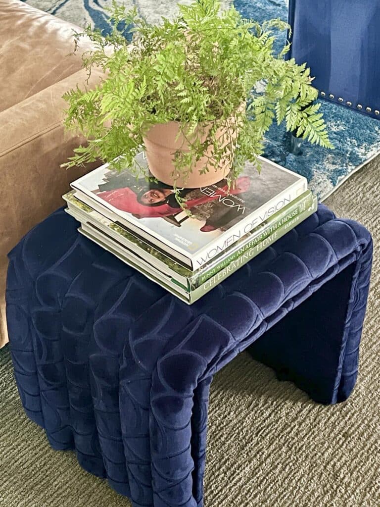 A stack of books and potted plant on top of a diy ottoman made with pool noodles.