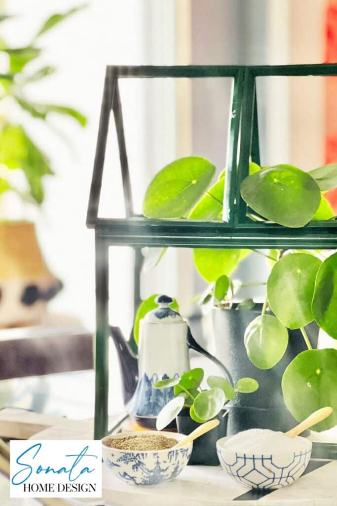 DIY Tabletop mini Greenhouse