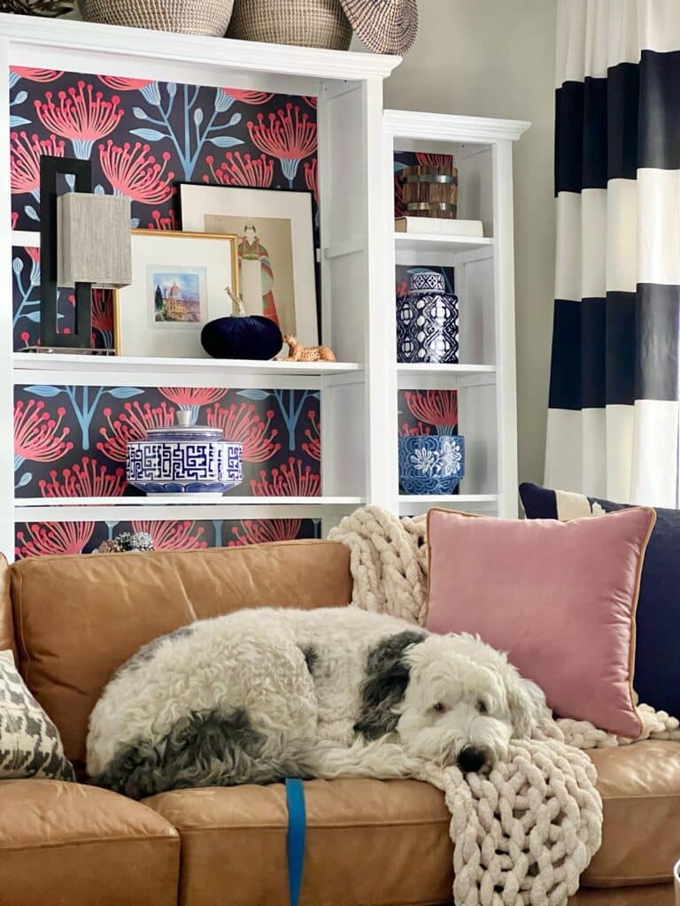 A white dog napping on a brown leather sofa with a cozy throw blanket.