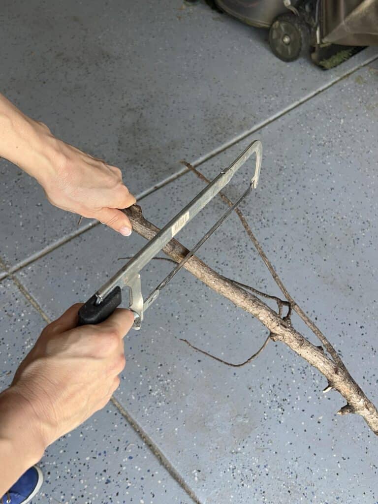 Cutting a tree limb with a hacksaw.