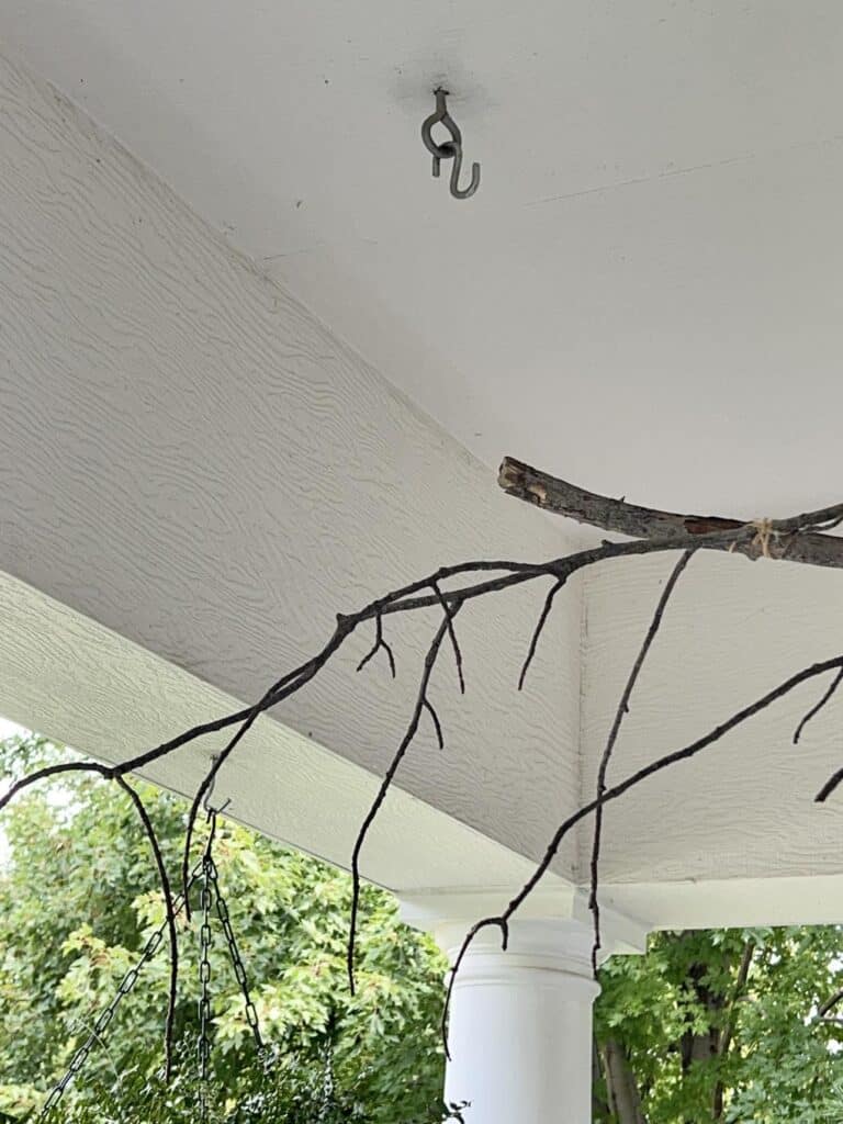 Hanging this tree branch decor idea from S hooks in the ceiling.