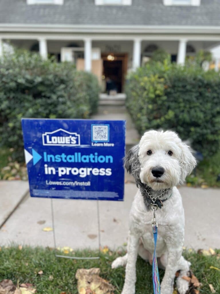 A white dog sitting beside a Lowe installation sign.