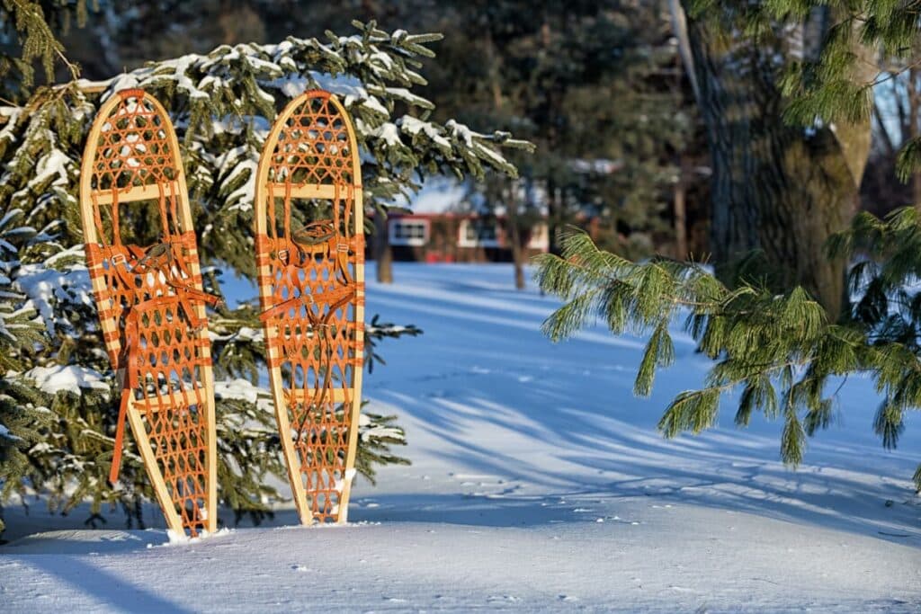 Snowshoes stuck in the snow.