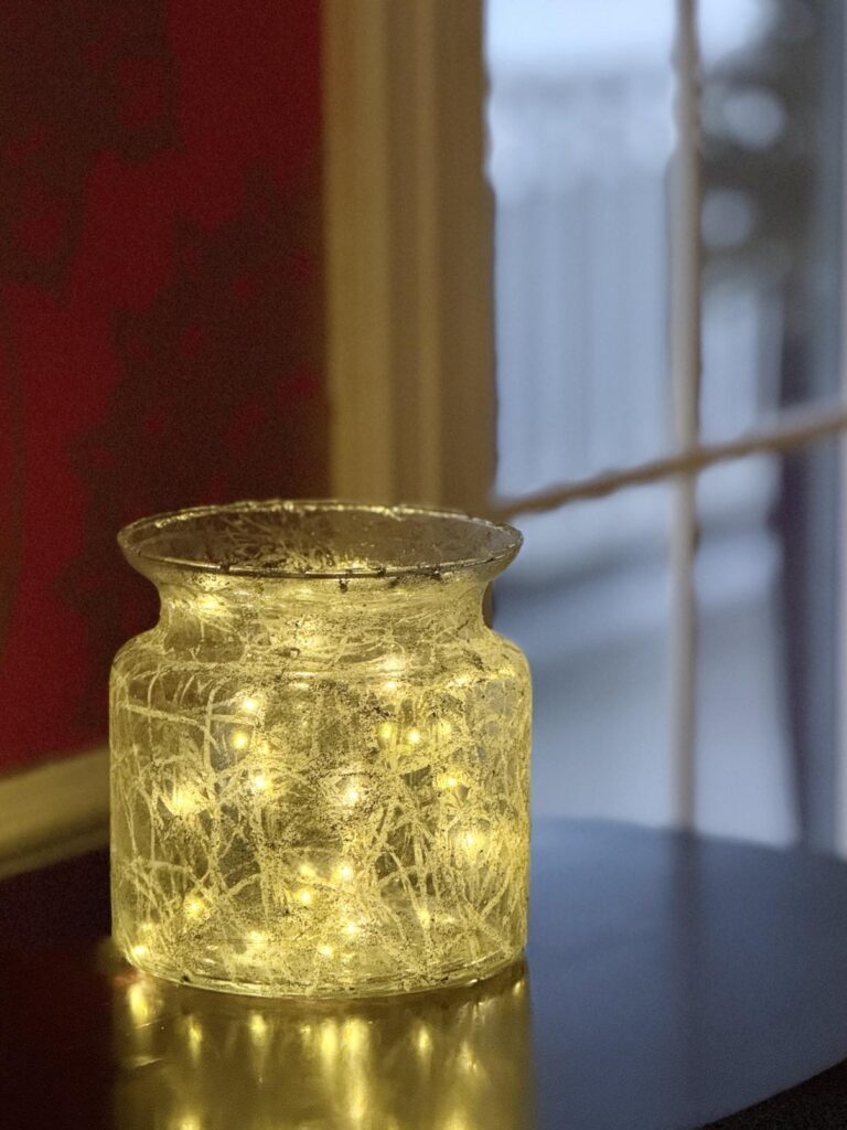 Twinkling fairy lights in a vase.